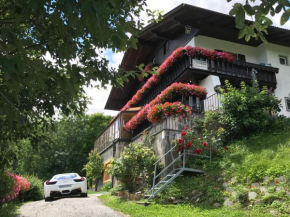 Pension Alpenblick B&B